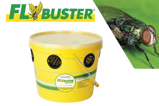 Flybuster Trap and Bait System