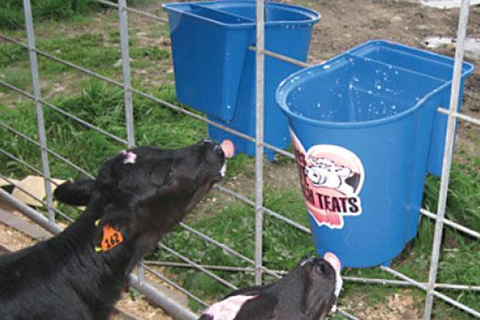 RUBBER CALF FEEDER TEATS Feeding Bucket Milking Machine Parlour - Foto 4