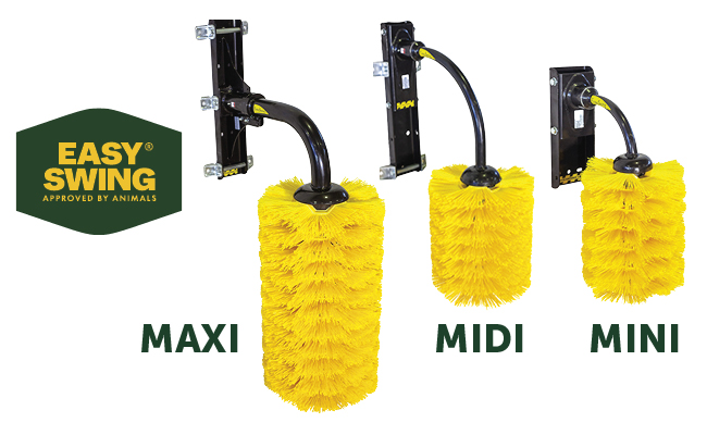 Easyswing maxi midi mini cattle brushes