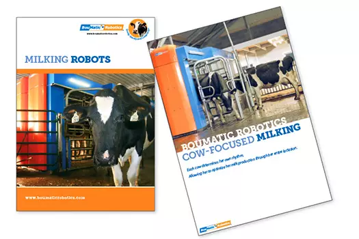 boumatic robotics flyer