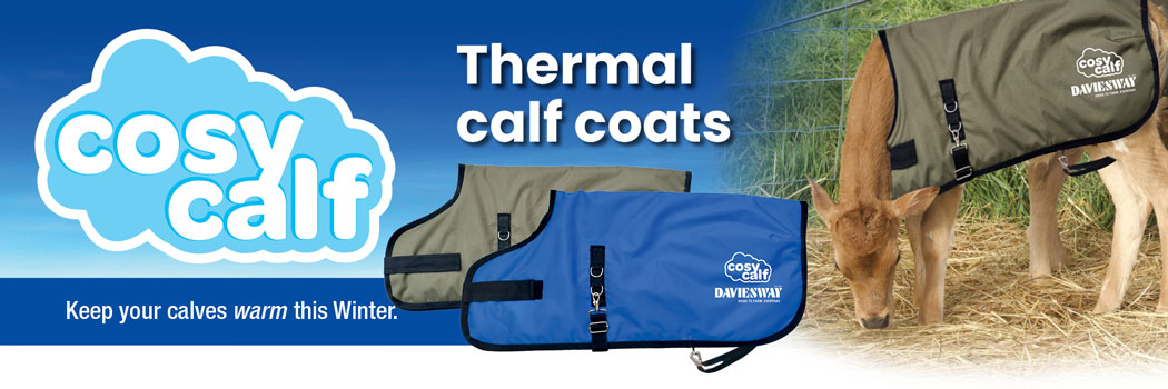 Cosy Calf Coats
